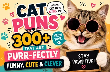 Cat Puns