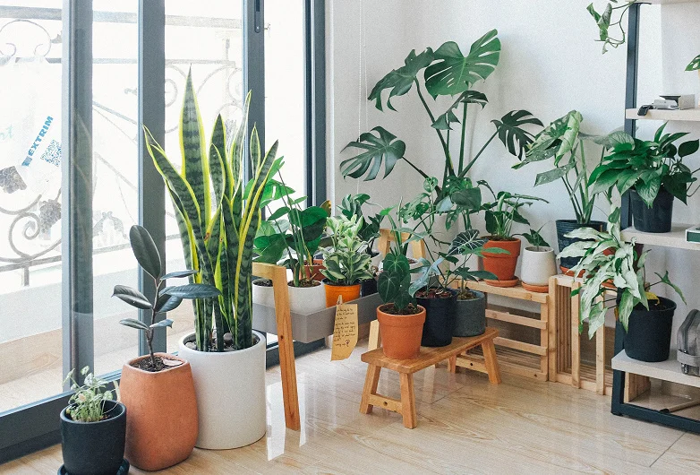 Balcony gardening ideas featuring colorful potted plants, herbs, flowers, and vertical planters arranged on a small apartment balcony with a cozy green outdoor space.