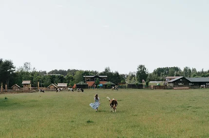Farm Life Captions featured image with a rustic barn, green fields, tractor, and peaceful countryside landscape.